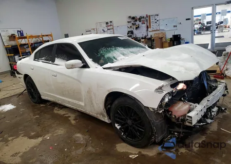 2013 Dodge Charger Police from USA, damaged, VIN 2C3CDXAG9DH694747